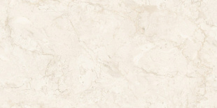 Керамогранит NT Ceramic Stone Almond Endless арт. NTT99523C (60x120) матовый, карвинг